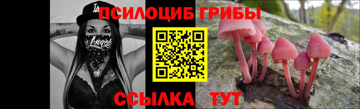 Псилоцибиновые грибы мицелий Гулькевичи